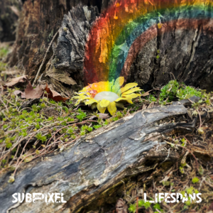Lifespans album art